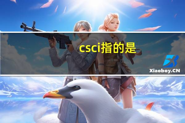 csci指的是