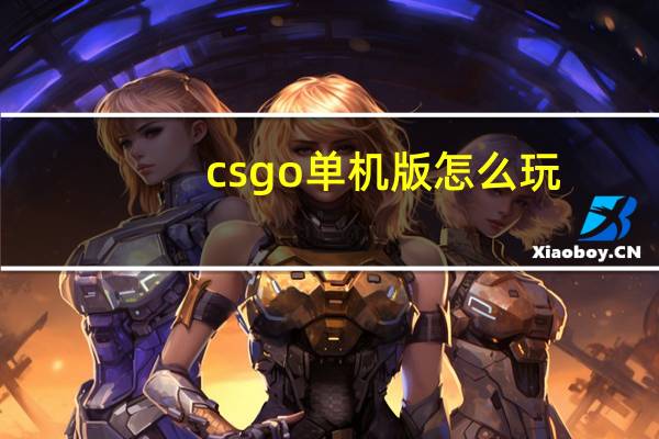 csgo单机版怎么玩（csgo单机版）