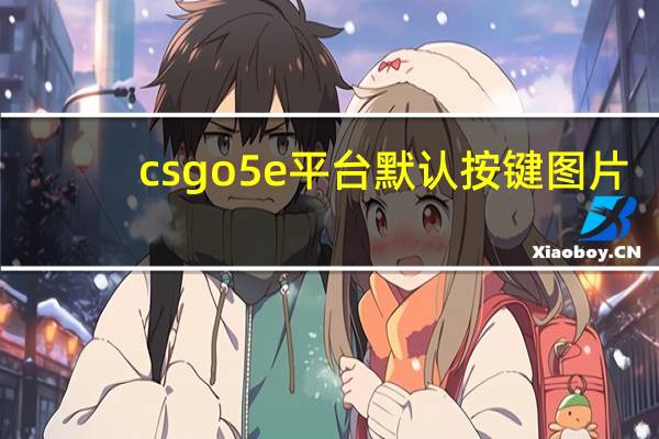 csgo 5e平台默认按键图片（csgo 5e平台）
