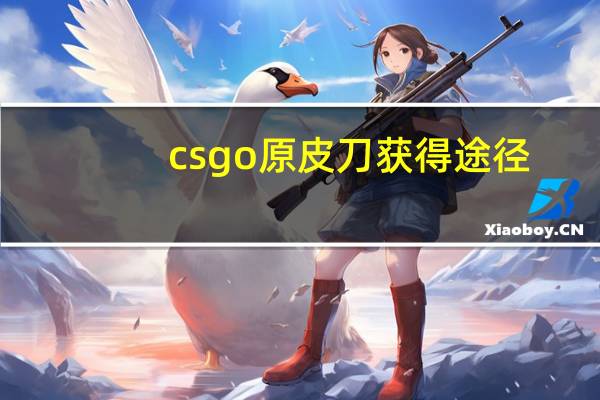 csgo原皮刀获得途径