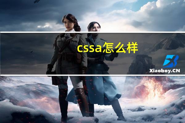 cssa怎么样