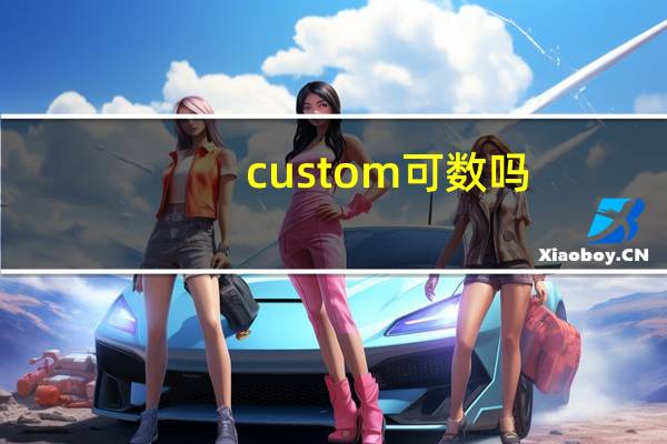 custom可数吗