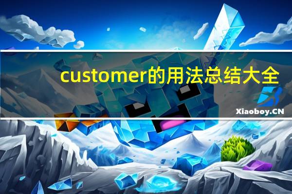 customer的用法总结大全
