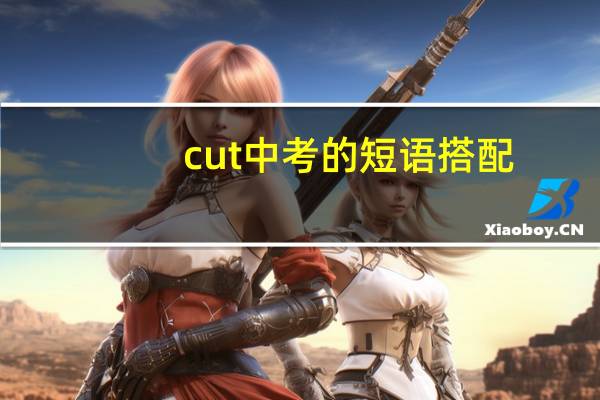 cut中考的短语搭配