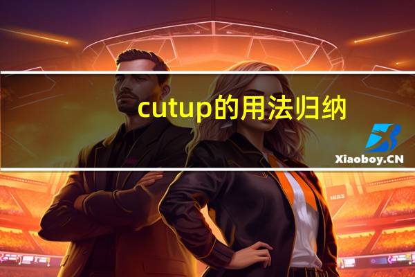 cutup的用法归纳