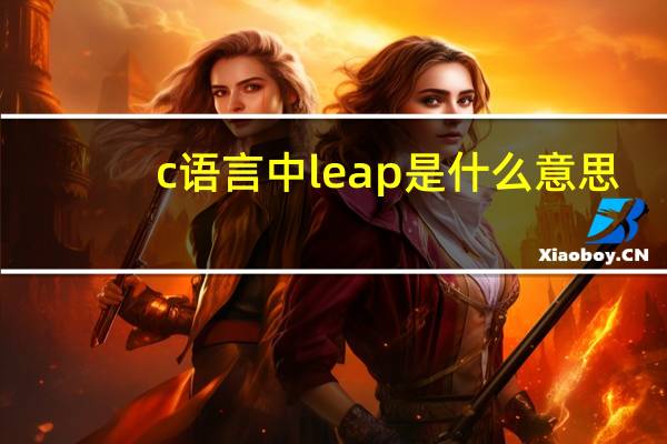c语言中leap是什么意思