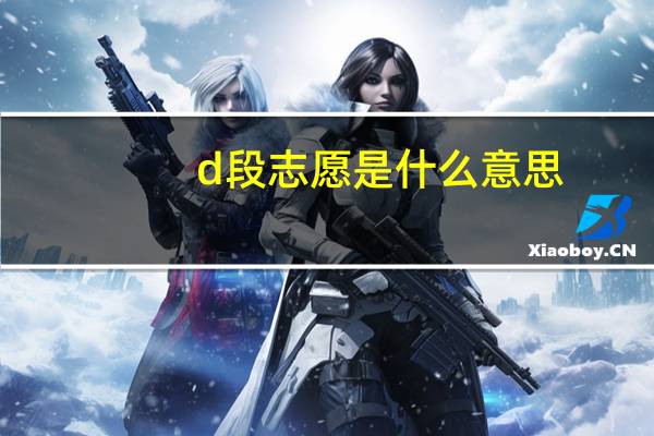 d段志愿是什么意思