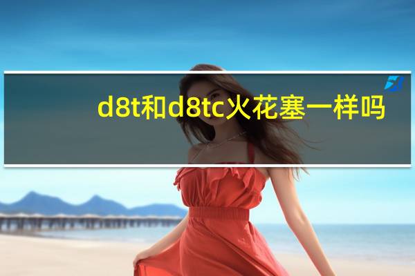 d8t和d8tc火花塞一样吗