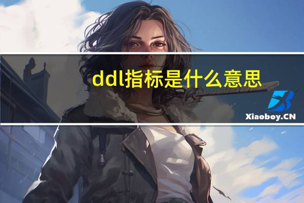 ddl指标是什么意思