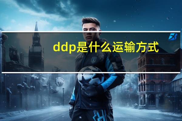 ddp是什么运输方式（ddp）