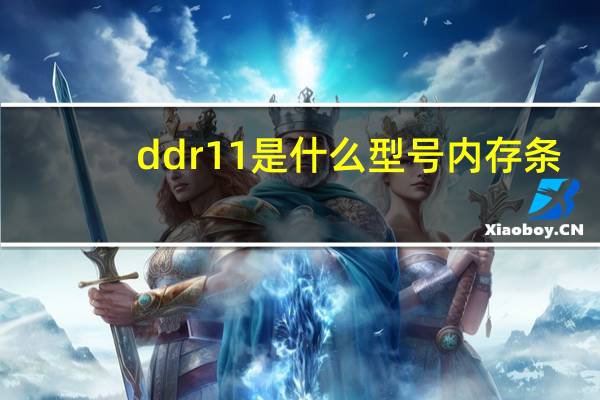 ddr11是什么型号内存条