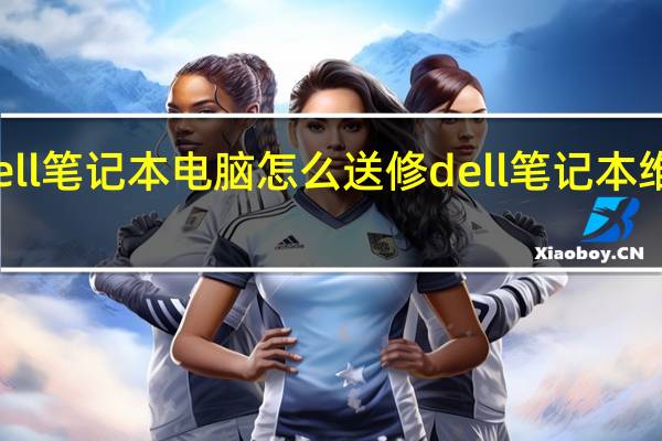 dell笔记本电脑怎么送修 dell笔记本维修中心