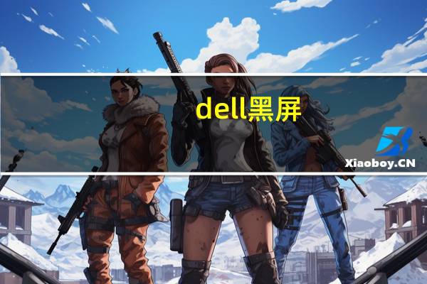 dell 黑屏