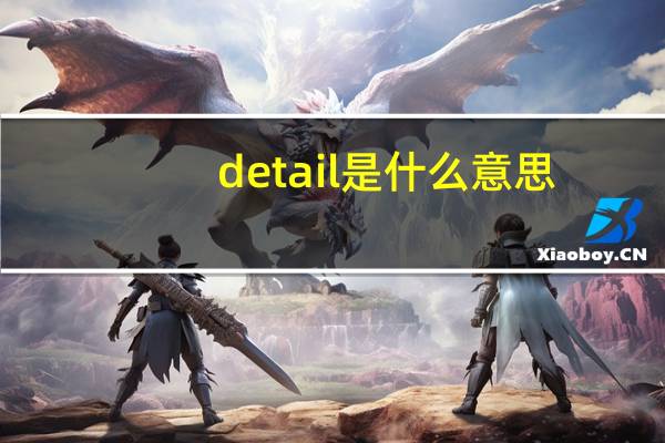 detail是什么意思