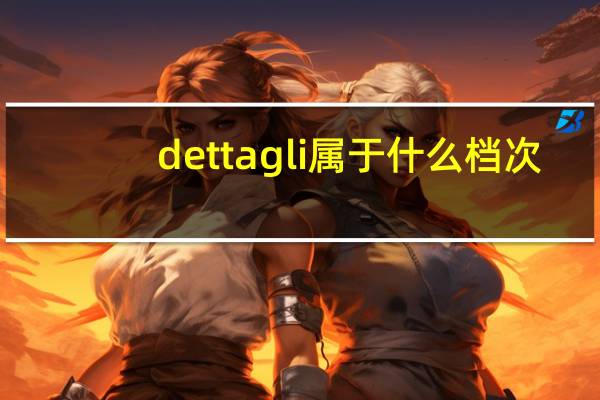 dettagli属于什么档次