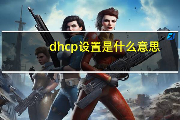 dhcp设置是什么意思（dhcp设置）