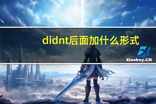 didn t后面加什么形式