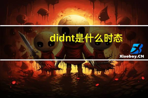 didnt是什么时态