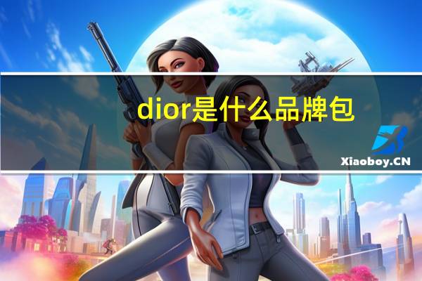 dior是什么品牌包