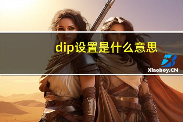 dip设置是什么意思