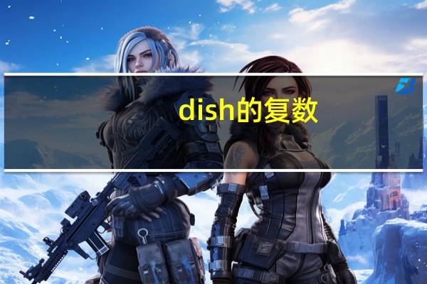 dish的复数