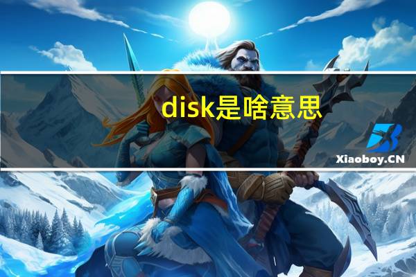 disk是啥意思