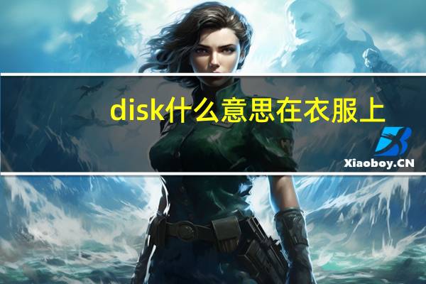 disk什么意思在衣服上