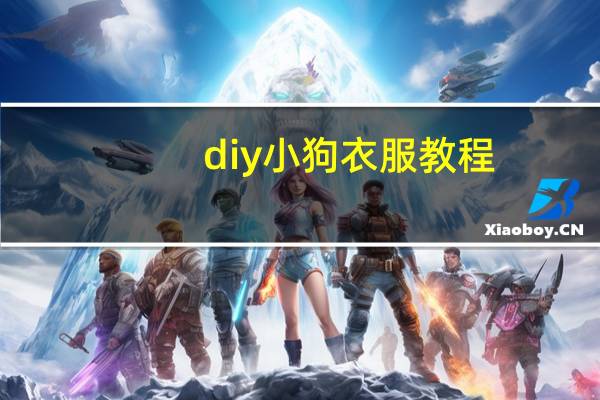 diy小狗衣服教程