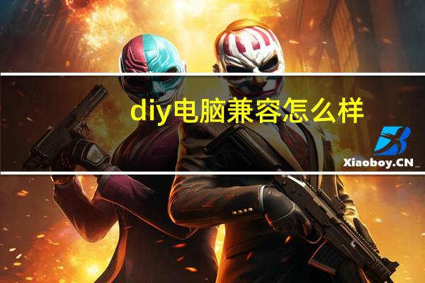 diy电脑兼容怎么样