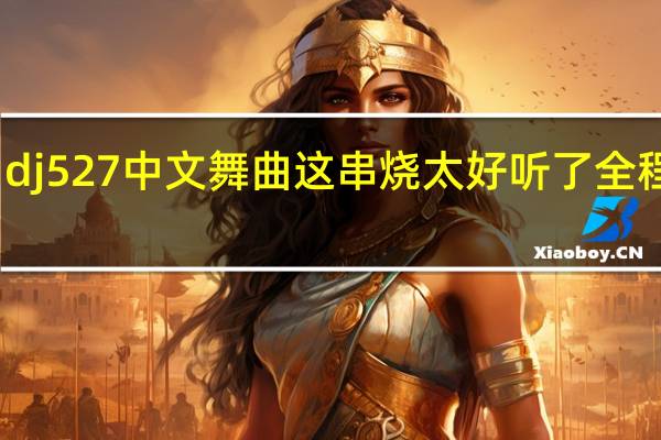 dj527中文舞曲 这串烧 太好听了 全程舞动
