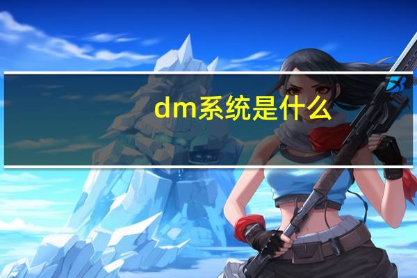 dm系统是什么