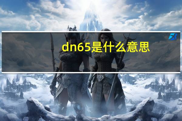 dn65是什么意思