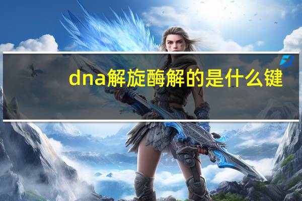 dna解旋酶解的是什么键（dna解旋酶）