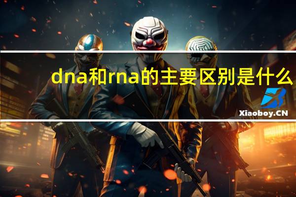 dna和rna的主要区别是什么