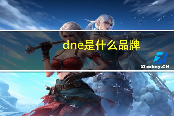 dne是什么品牌