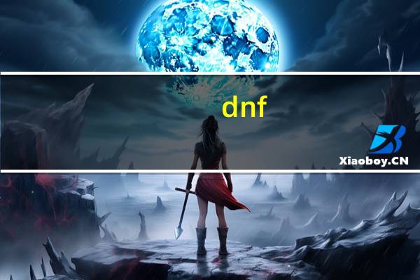 dnf。exe应用程序错误