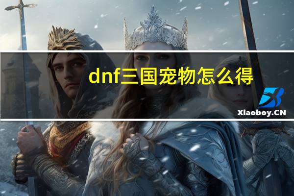 dnf三国宠物怎么得