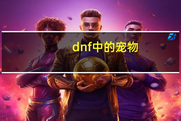 dnf中的宠物