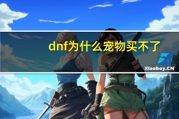 dnf为什么宠物买不了