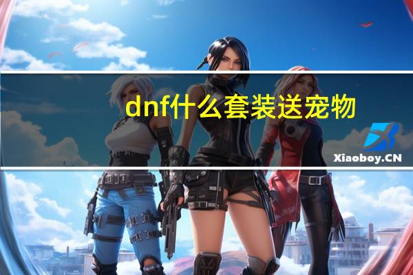dnf什么套装送宠物