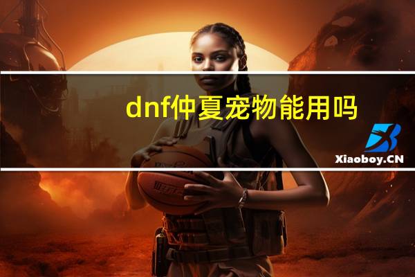 dnf仲夏宠物能用吗