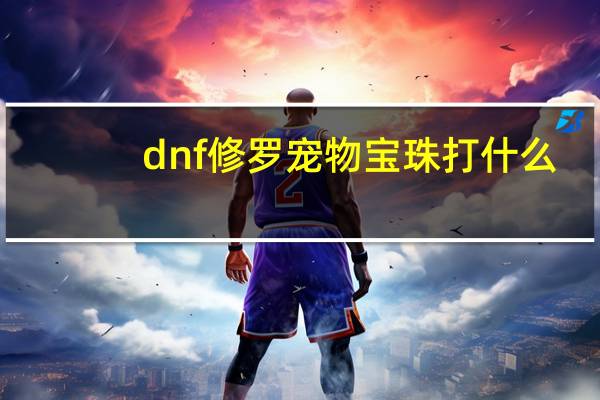 dnf修罗宠物宝珠打什么