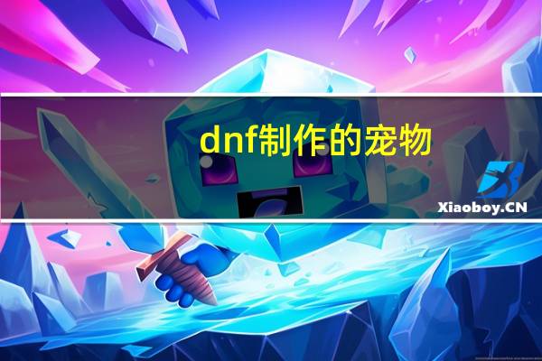 dnf制作的宠物