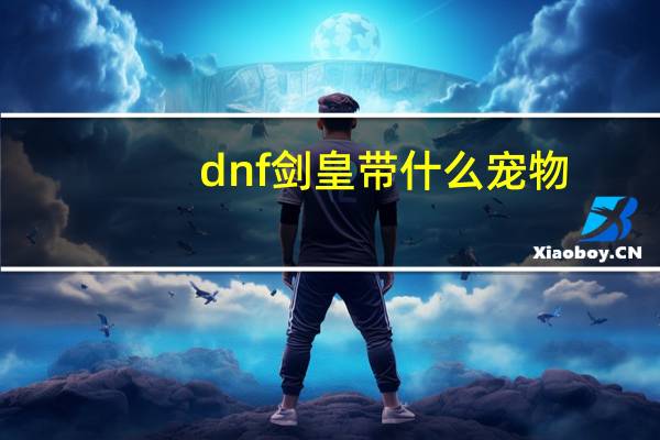 dnf剑皇带什么宠物