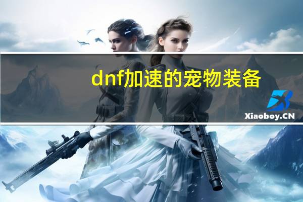 dnf加速的宠物装备
