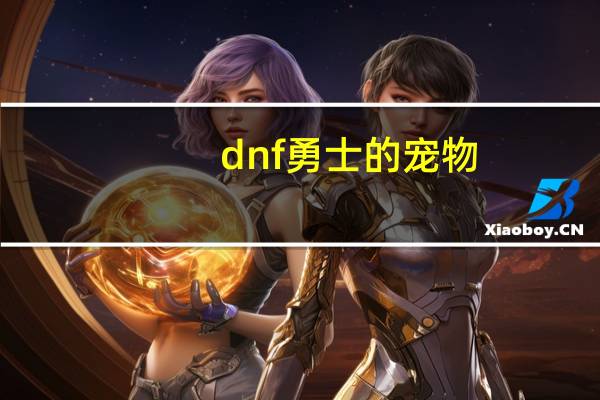 dnf勇士的宠物