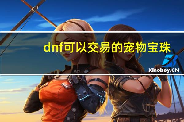 dnf可以交易的宠物宝珠