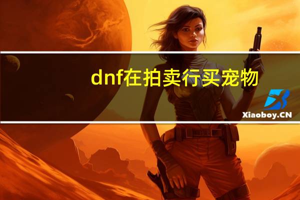 dnf在拍卖行买宠物
