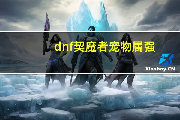 dnf契魔者宠物属强