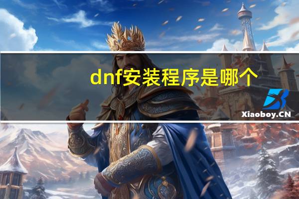 dnf安装程序是哪个
